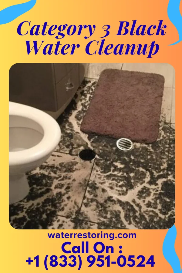 Category 3 Black Water Cleanup in Spanish Fork, UT