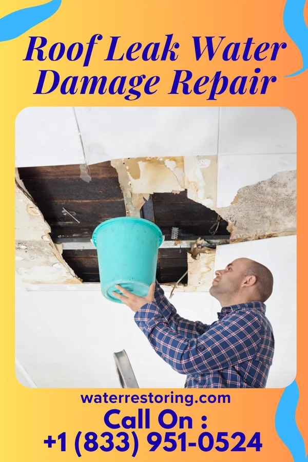 Roof Leak Water Damage Repair in Spanish Fork, UT